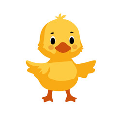 cute and happy little yellow duck. Isolated on white