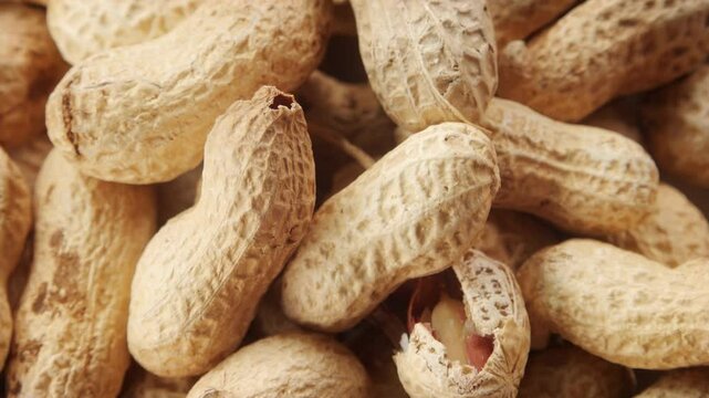 Shelled Monkey nuts close up stock footage