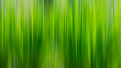 Abstract blurred gradient green background vertical lines.