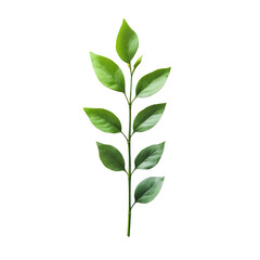 Fototapeta premium Green stem with leaves