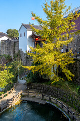 Obraz premium Ancient Chinese wall with Golden Ginkgo Tree