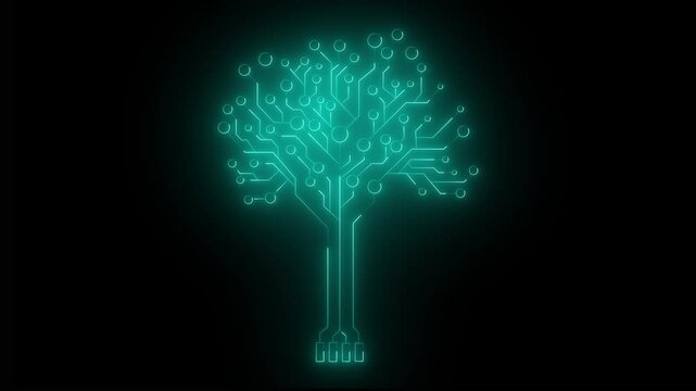 Circuit tree on black background. Science and technology concept. Animated Glowing circuit board on a black background. 4k