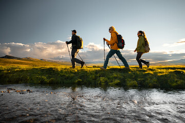 Hikers group with trekking poles walk along a stream on a mountain plateau at sunset, low angle view