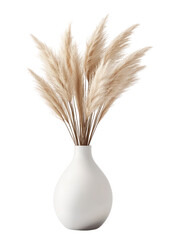 Beige pampas grass in white vase