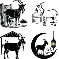 Four Exquisite Black and White Tropical Fruit Illustrations