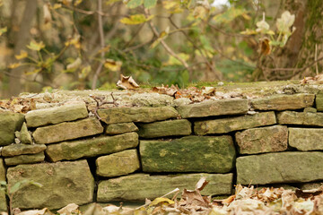 Close up of low dry stone wall in woodland