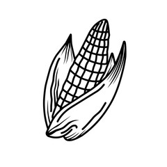 Hand drawn corn on the cob vector illustration. Organic healthy food. Vector hand-drawn illustration in doodle style. Perfect for cards, logo, decorations, recipes, various designs