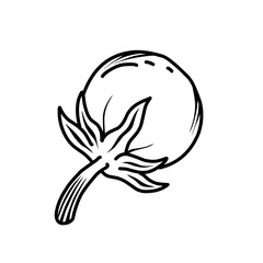 Hand drawn tomato vector illustration
Sketch style tomato Graphic. Tomato black and white vector drawing. Tomato isolated on white background. Tomatoes line art drawing