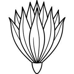 Chive outline vector