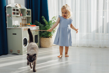 Young child joyfully plays with a cat in a bright indoor space during the morning © Alina