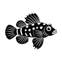 Mandarin Dragonet Mandarin Goby