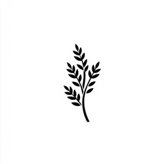 Fototapeta premium Simple wheat sprig illustration, white background, design element