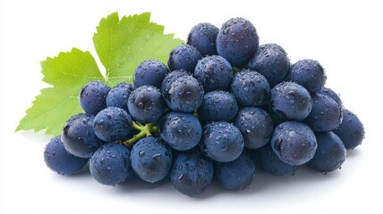 Fototapeta premium Closeup of Fresh Purple Grapes with Dew Drops