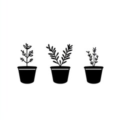 Three potted herbs, kitchen garden, minimalist design, cooking recipe illustration