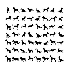 25 Dogs: A Collection of Canine Companions