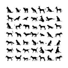 25 Dogs: A Collection of Canine Companions