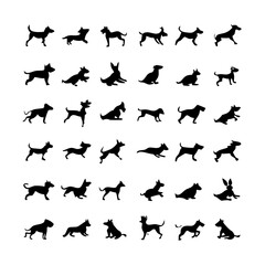 25 Dogs: A Collection of Canine Companions