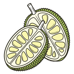 Jackfruit Adobe Illustrator Artwork