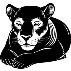 tiger vector illustration