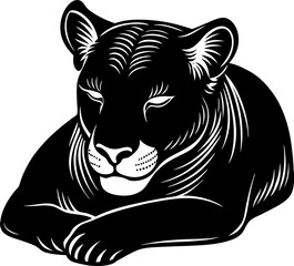 black and white tiger