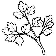 Watercress outline vector