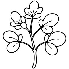 Watercress outline vector