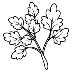 Watercress outline vector