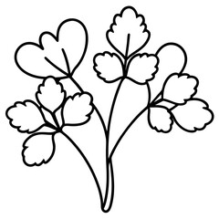 Obraz premium Watercress outline vector