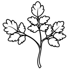 Watercress outline vector