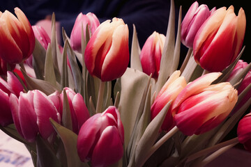 Pink and white tulips