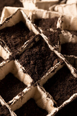 filling biodegradable pots from a mixture of paper and peat with fertile soil