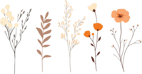 Collection of spring colorful flower elements vector. Set floral of wildflower, A whimsical enchanted garden with blooming flowers.