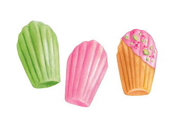Watercolor pink and green madeleine cookies set