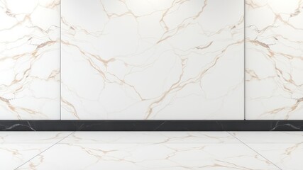 Elegant White and Black Marble Floor and Wall Design