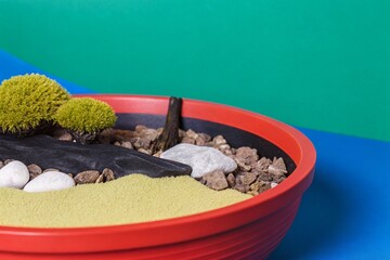 Soft green moss forming a lush, miniature landscape