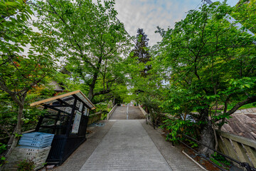 2025年 5月 岡山由加山の風景