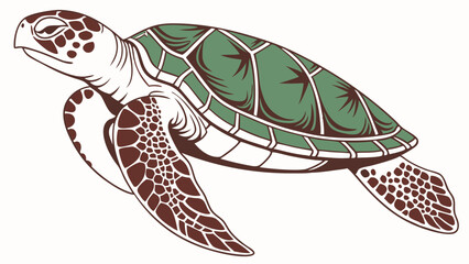 turtle vector illustration