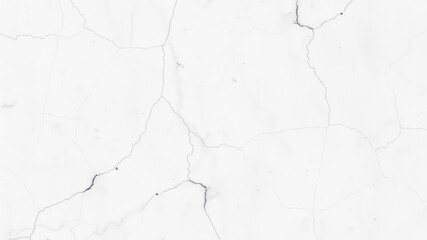 High-resolution image depicting a surface with a network of fine cracks on a white background