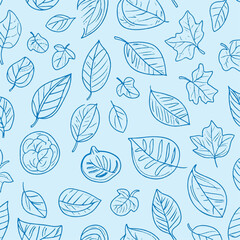 A Autumn leaves and fruits blue outline pattern