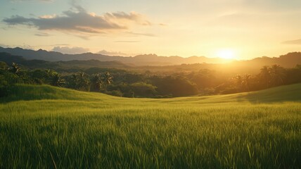 Fototapeta premium Silhouette of Palm Trees Against Golden Sunset Over Lush Green Field
