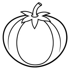 Tomatillo out line vector