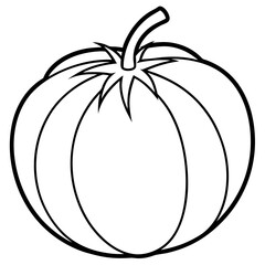 Tomatillo out line vector