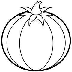 Tomatillo out line vector