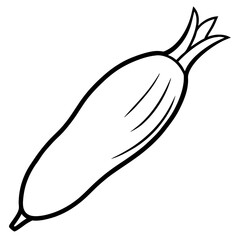 Daikon out line vector 