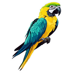 Fototapeta premium parrot, animal, vector, transparent background, beak, colorful, feather, tropical, zoo, wildlife, nature, exotic, isolated, jungle, feathers, colourful, bright, pet