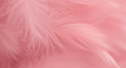 Obraz premium Pink Feather Softness: Delicate Texture, Angelic Wings, Dreamy Pastel, Abstract Plume Beauty
