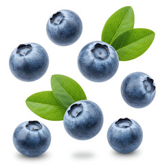 Obraz premium Fresh bilberries with green leaves floating in the air, full HD image isolated on a white background,blueberries isolated on white