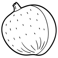 Minimalist Jicama Line Art Vector