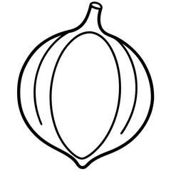 Minimalist Jicama Line Art Vector