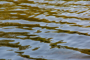 Background of Dnieper River water surface with ripples. River water in autumn in rays of the setting sun. Natural color of river water. Water with small waves.